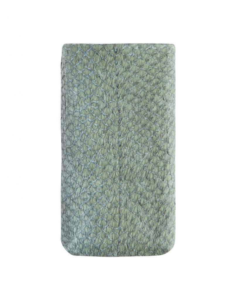 Lapaporter Python skin case